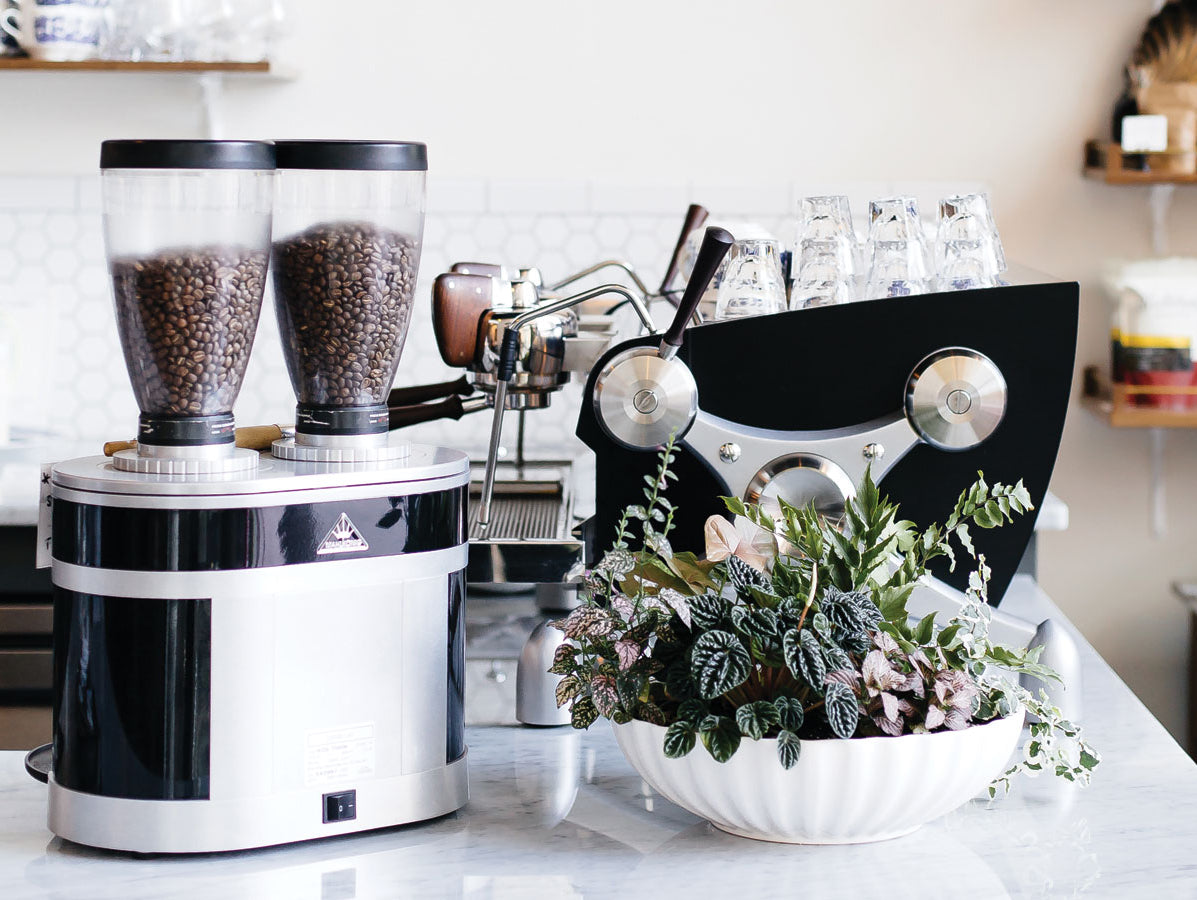 7 Best Burr Grinders for Coffee